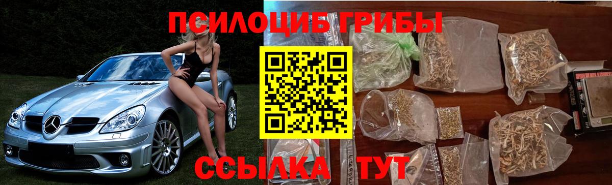 Псилоцибиновые грибы GOLDEN TEACHER  Вход с VPN  Симферополь  Галлюциногенные грибы GOLDEN TEACHER 